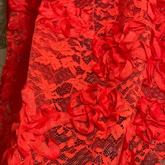 Red Lace Dress for Valentines or that special date - Picture 6 of 12